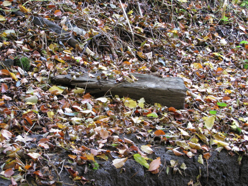 Stone structure in stream wooden plank